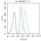 phospho-HSP70 (Tyr611) Rabbit pAb